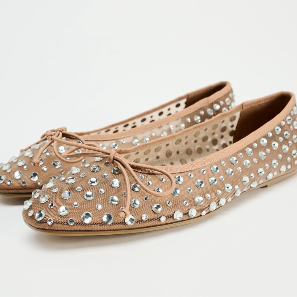NWT Zara shiny mesh ballet flats. Never before worn. Size 9